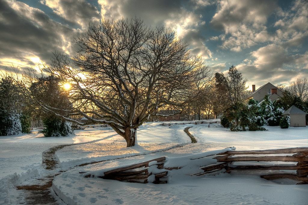 Sully Plantation Winter